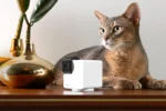 1434398-Augintinių-kamera-PETCUBE-Cam-360-6