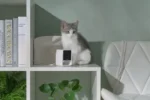 1434404-Augintinių-kamera-PETCUBE-Cam-6
