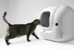 439414-Automatinis-kačių-tualetas-PETKIT-Pura-MAX-2-baltas-15