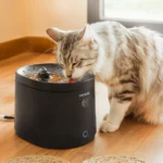 474078-Automatinė-gertuvė-Cecotec-Pumba-2500-Refresh-25-l-juoda-3