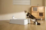 482432-Savaime-išsivalantis-kačių-tualetas-PETKIT-Purobot-Crystal-Duo-su-kamera--7
