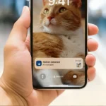 603580-Išmanioji-kačių-šėrykla-Philips-su-kamera-PAW532002-4