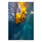 RBT47519-Baseino-valymo-robotas-Dolphin-Wave-100-WB-šepečiai-9